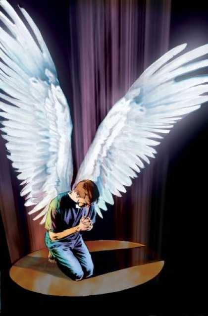 Bestselling Comics (2007) - Fallen Angel Volume 3 by Peter David - Wings - Spotlight - Curtains - Shadow - Praying