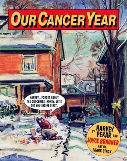 Bestselling Comics (2007) - Our Cancer Year by Harvey Pekar - Harvey Pekar - Joyce Brabner - Snow - Collapse - Groceries