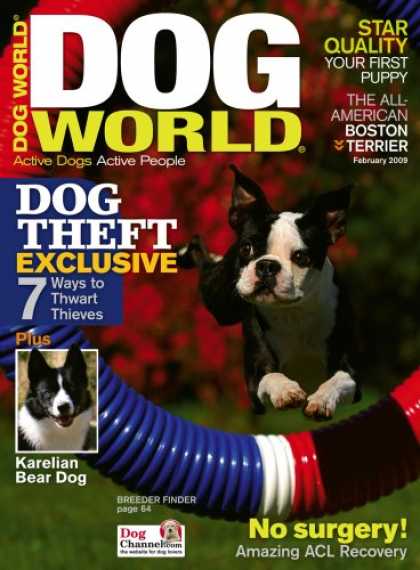 Bestselling Magazines (2008) - Dog World