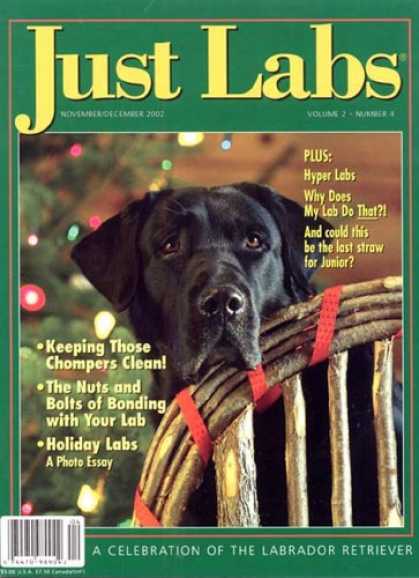 Bestselling Magazines (2008) - Just Labs