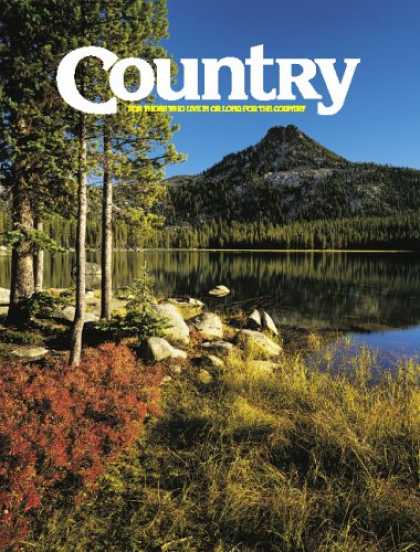 Bestselling Magazines (2008) - Country - Wi