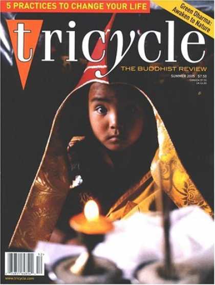 Bestselling Magazines (2008) - Tricycle : the Buddhist Review