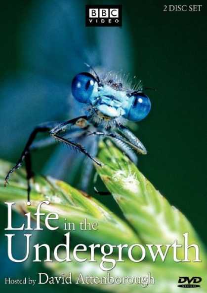 Bestselling Movies (2006) - Life in the Undergrowth