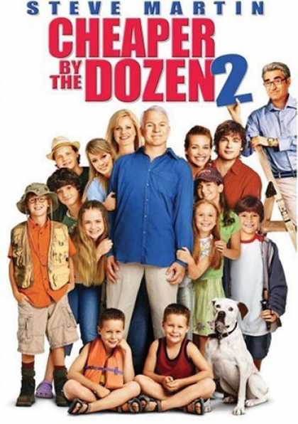 Bestselling Movies (2006) - Cheaper By the Dozen 2