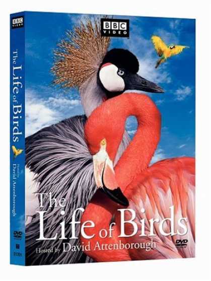Bestselling Movies (2006) - The Life of Birds by Joanna Sarsby