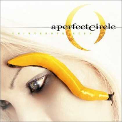 Bestselling Music (2006) - Thirteenth Step by A Perfect Circle