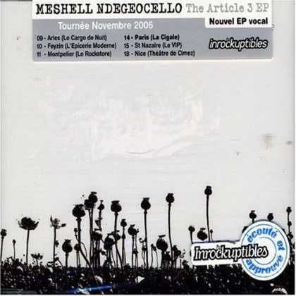 Bestselling Music (2007) - The Article 3 by Meshell Ndegeocello