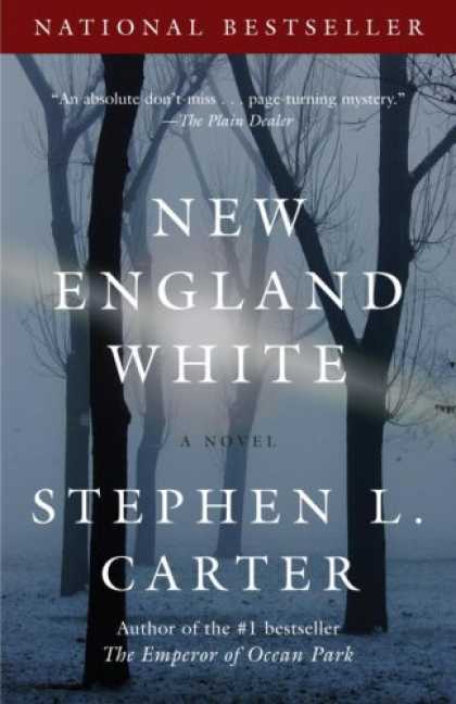 Bestselling Mystery/ Thriller (2008) - New England White (Vintage Contemporaries) by Stephen L. Carter