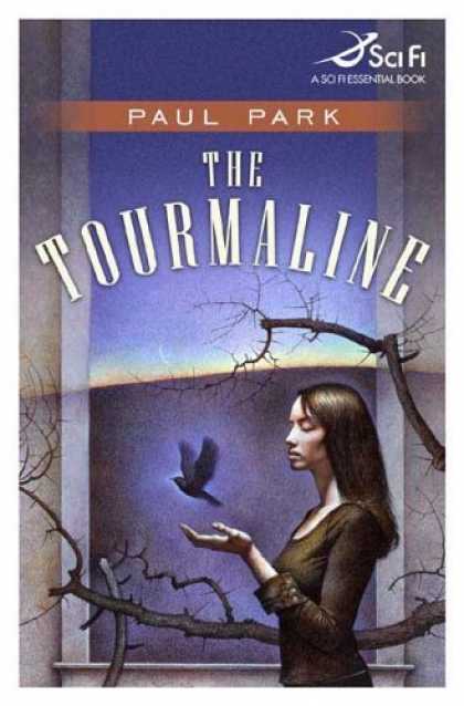 Bestselling Sci-Fi/ Fantasy (2006) - The Tourmaline by Paul Park