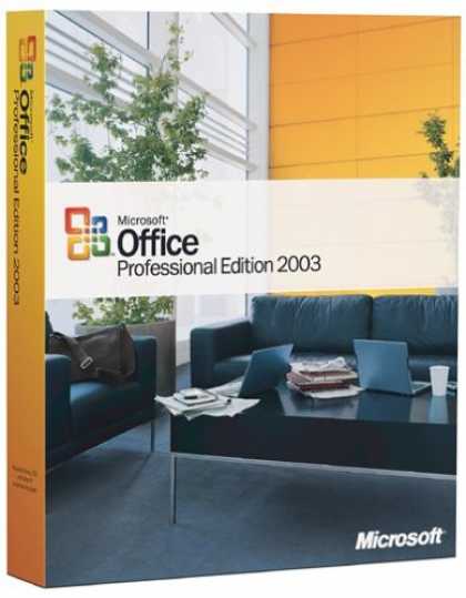 Bestselling Software (2008) - Microsoft Office Professional 2003 [OLD VERSION]