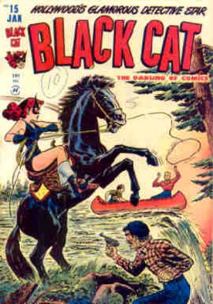 Black Cat 15