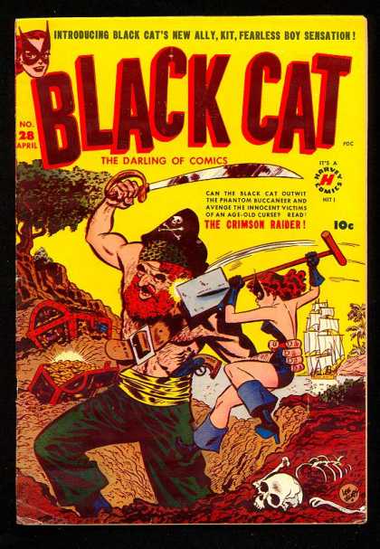 Black Cat 28