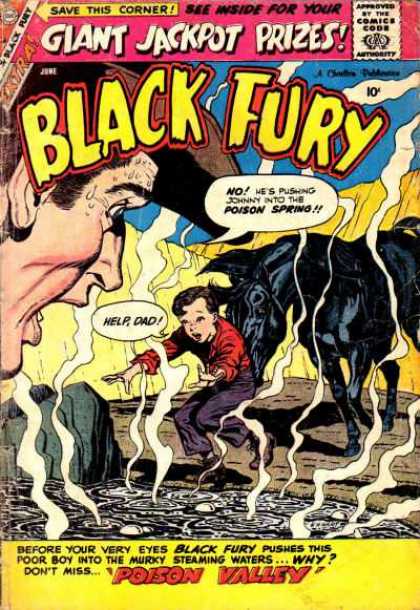 Black Fury 19