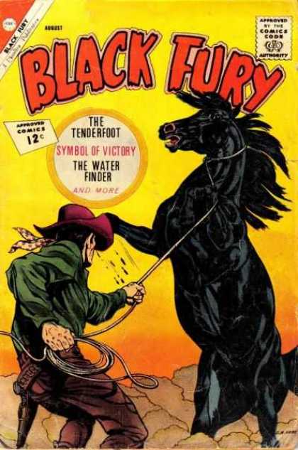 Black Fury 37 - Black Fury - The Tenderfoot - Water Finder - Black Horse - Victory Symbol