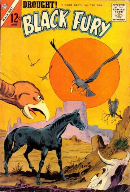 Black Fury 43 - Comics Code - Horse - Birds - Canyon - Drought