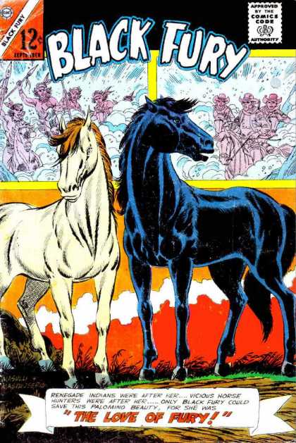 Black Fury 54 - Horses - Black Horse - White Horse - The Love Of Fury - Battle