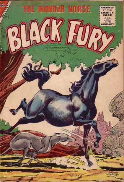 Black Fury 6 - Comics Code - The Wonder Horse - Tree - Dog - Mountain