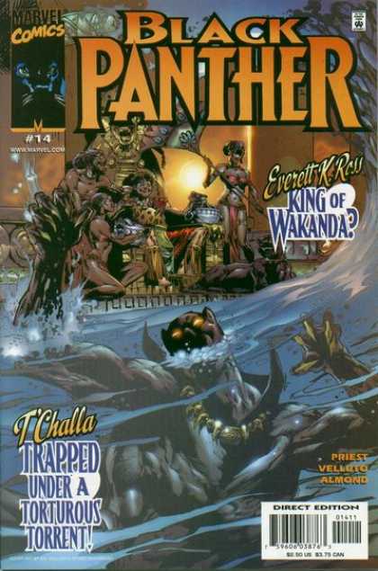 Black Panther (1998) 14
