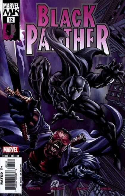 Black Panther (2005) 12 - Deodato Fiho