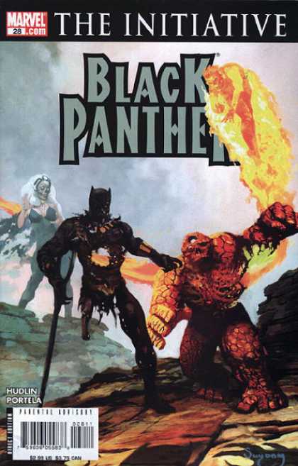 Black Panther (2005) 28