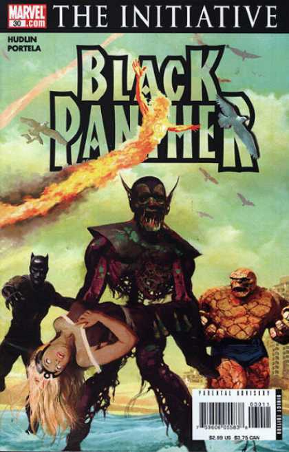 Black Panther (2005) 30