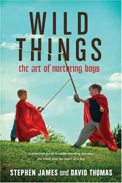 Books About Art - Wild Things: The Art of Nurturing Boys