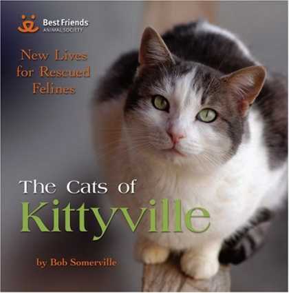 Books About Friendship - The Cats of Kittyville: New Lives for Rescued Felines