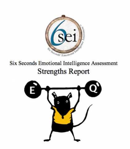 Books on Learning and Intelligence - SEI Emotional Intelligence Test - Strengths Report (SEI Assessment, Strengths Re