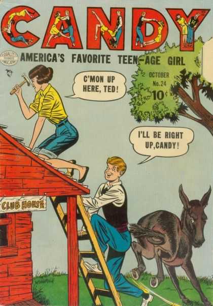 Candy 24 - Ted - Donkey - Teen-age Girl - Club House - Roofing