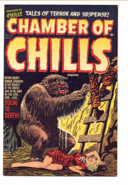 Chamber of Chills 14 - Tales Of Terror And Suspense - Monster - Woman - Man - Ladder