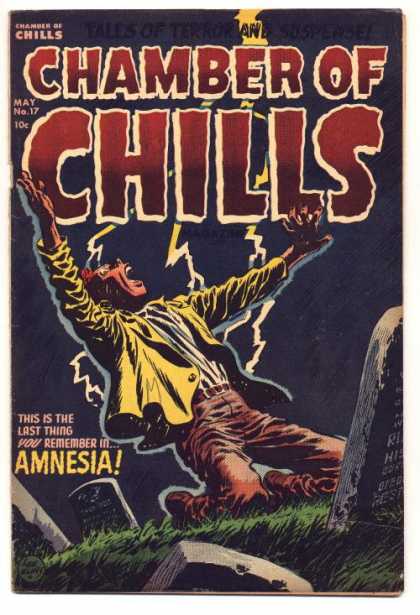 Chamber of Chills 17