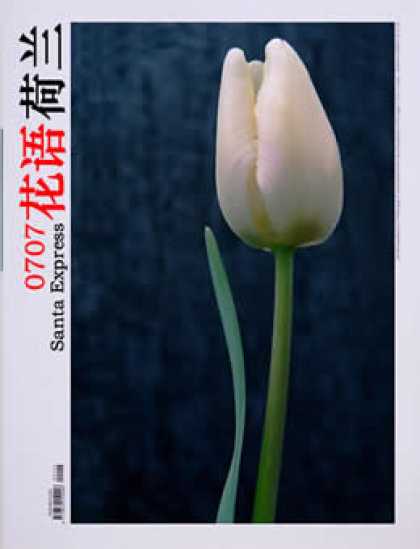 Chinese Ezines 7630 - Flower