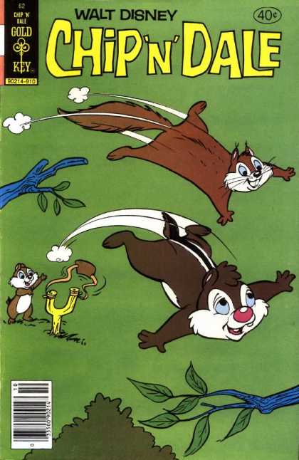 Chip 'n' Dale 62 - Chipmunks - Slingshot - Flying - Tree - Squirrel