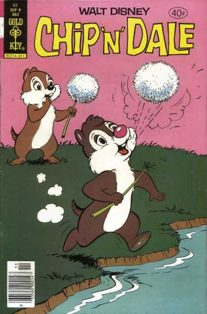 Chip 'n' Dale 63 - Squirrels - Running - Not Looking Where Hes Going - River - Splash