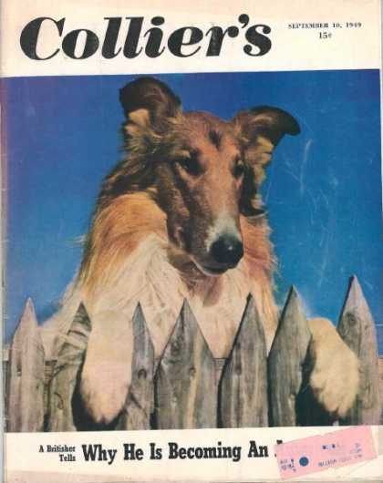 Collier's Weekly - 10/1949