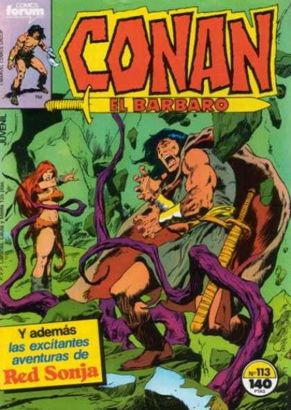 Conan el Barbaro (1983) 113