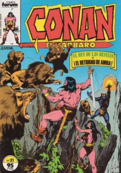 Conan el Barbaro (1983) 21
