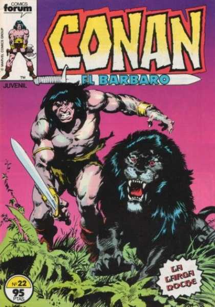 Conan el Barbaro (1983) 22
