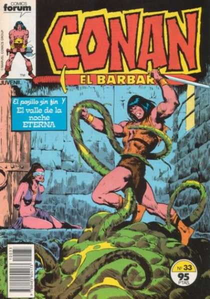 Conan el Barbaro (1983) 33