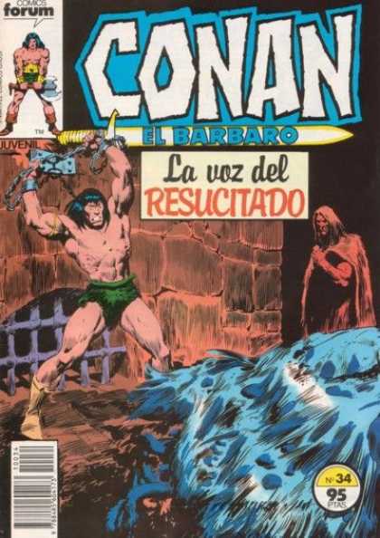 Conan el Barbaro (1983) 34