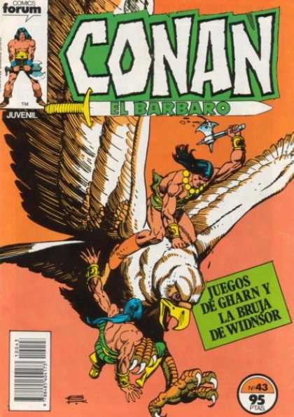 Conan el Barbaro (1983) 43