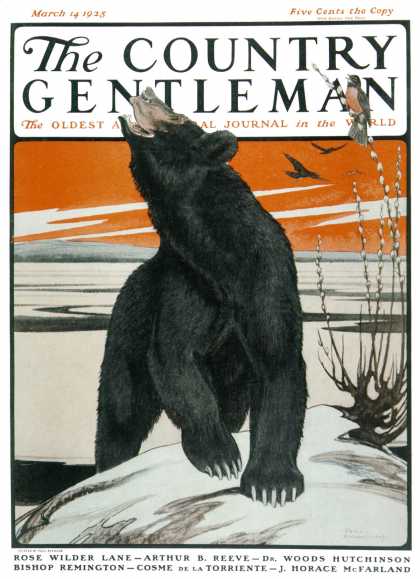 Country Gentleman - 1925-03-14: Bear and Robin Welcome Spring (Paul Bransom)