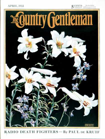 Country Gentleman - 1933-04-01: Easter Lilies (Nelson Grofe)