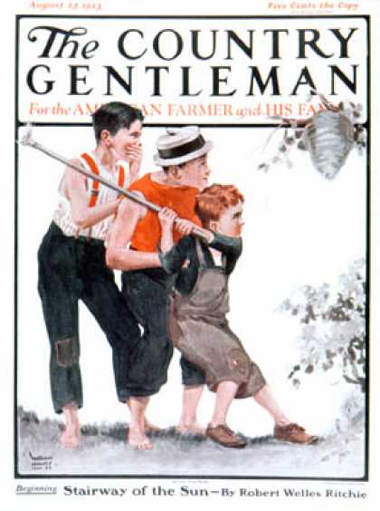 Country Gentleman - 1923-08-25: Hornets' Nest (WM. Hoople)