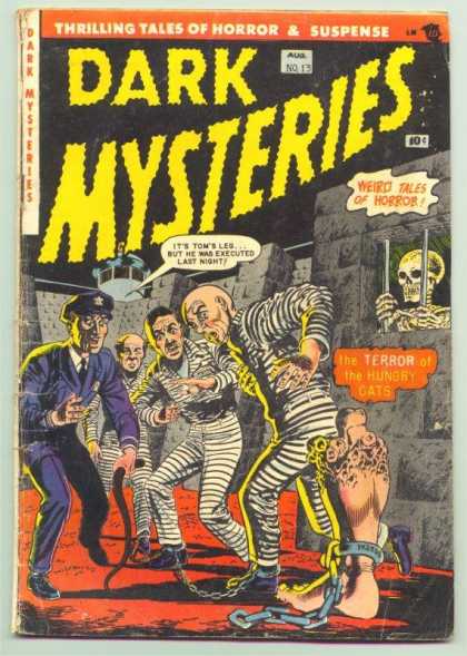 Dark Mysteries 13