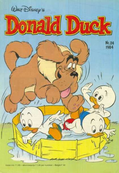 Donald Duck (Dutch) - 24, 1984