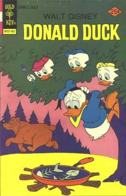 Donald Duck 173 - Huey - Dewey - Louie - Bear Stole Food - Hiding On Top Of Tree