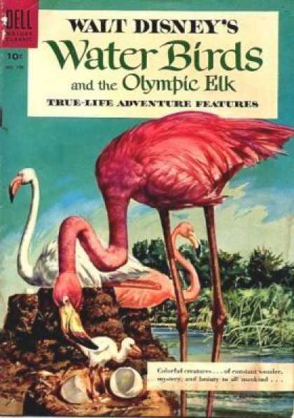 Four Color 700 - True-life Adventure Features - Walt Disneys - Water Birds - Olympic Elk - Water