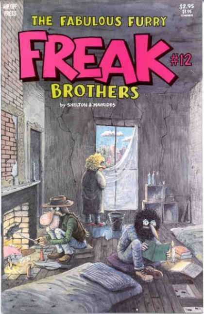 Freak Brothers 12