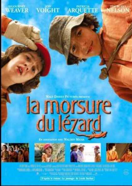 French DVDs - Holes